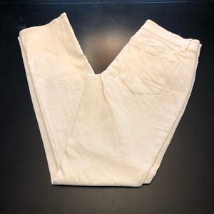 Ann Taylor Modern Fit Denim